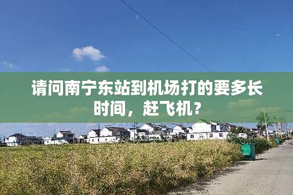 请问南宁东站到机场打的要多长时间，赶飞机？