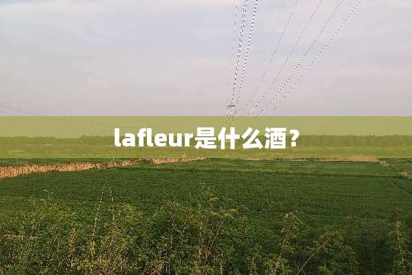 lafleur是什么酒？