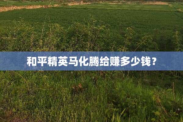 和平精英马化腾给赚多少钱？