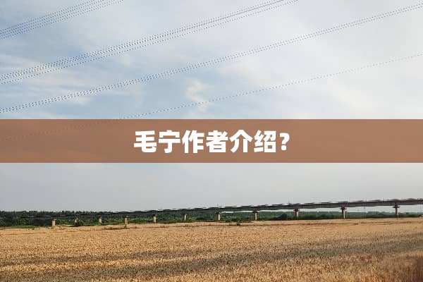 毛宁作者介绍？