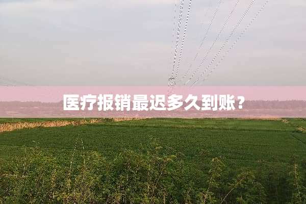 医疗报销最迟多久到账？