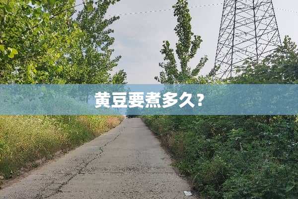 黄豆要煮多久？