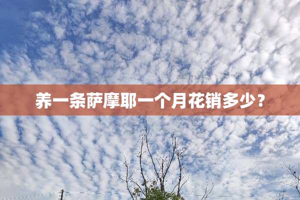 养一条萨摩耶一个月花销多少？