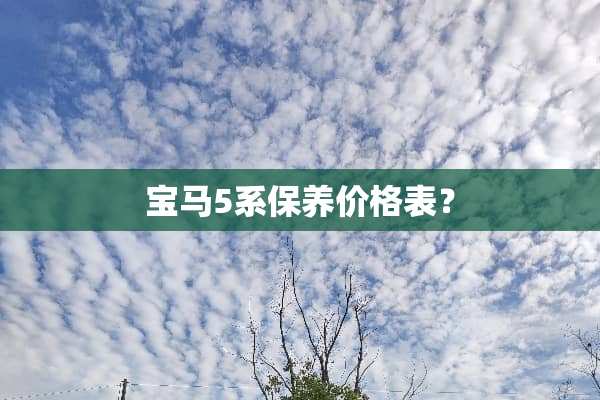 宝马5系保养价格表？