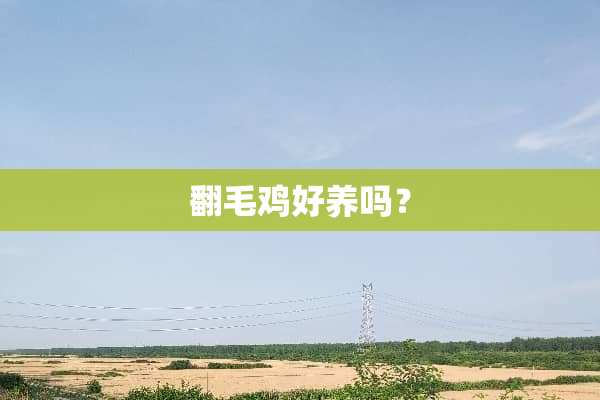 翻毛鸡好养吗？