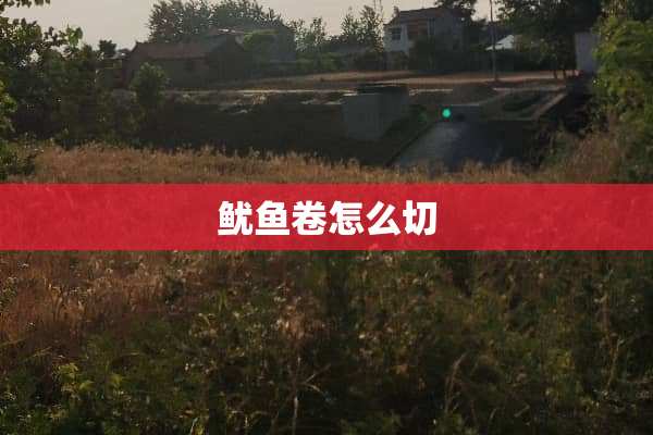 鱿鱼卷怎么切