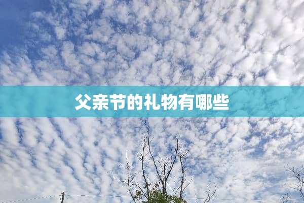 父亲节的礼物有哪些