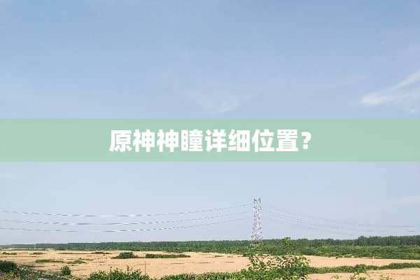 原神神瞳详细位置？