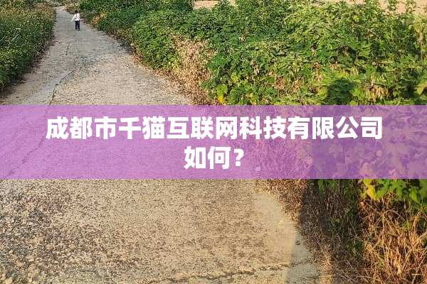 成都市千猫互联网科技有限公司如何？