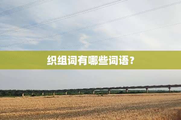 织组词有哪些词语？