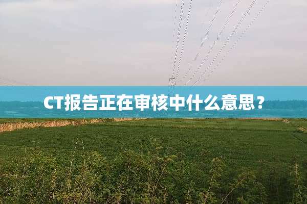 CT报告正在审核中什么意思？