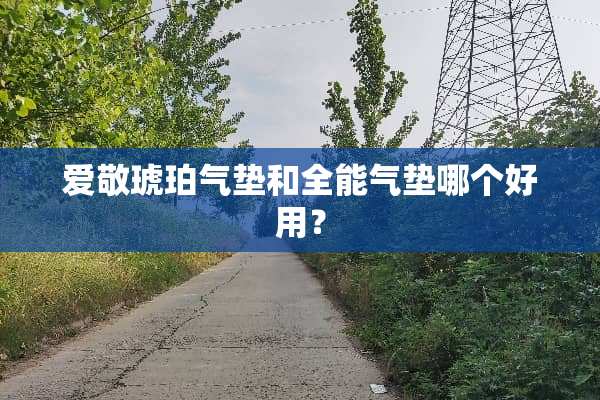 爱敬琥珀气垫和全能气垫哪个好用？