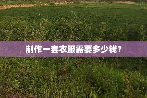 制作一套衣服需要多少钱？