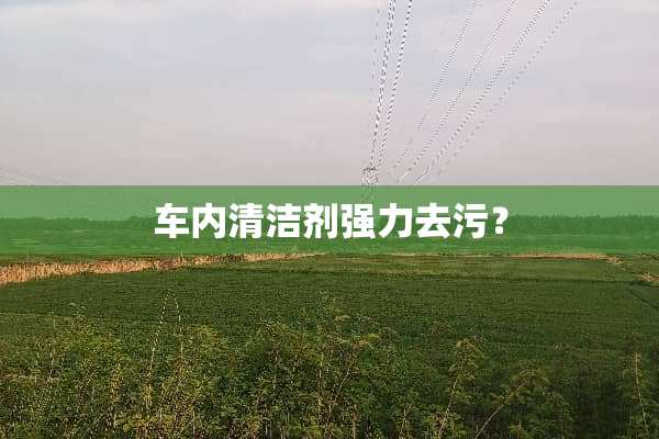 车内清洁剂强力去污？