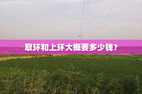 取环和上环大概要多少钱？