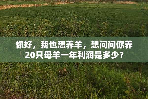 你好，我也想养羊，想问问你养20只母羊一年利润是多少？