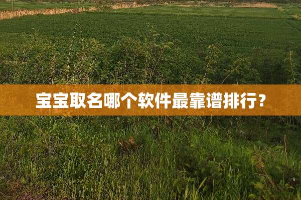 宝宝取名哪个软件最靠谱排行？
