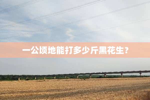 一公顷地能打多少斤黑花生？
