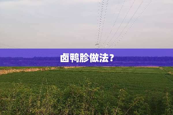 卤鸭胗做法？