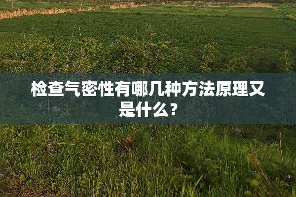 检查气密性有哪几种方法原理又是什么？