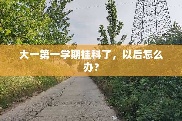 大一第一学期挂科了，以后怎么办？