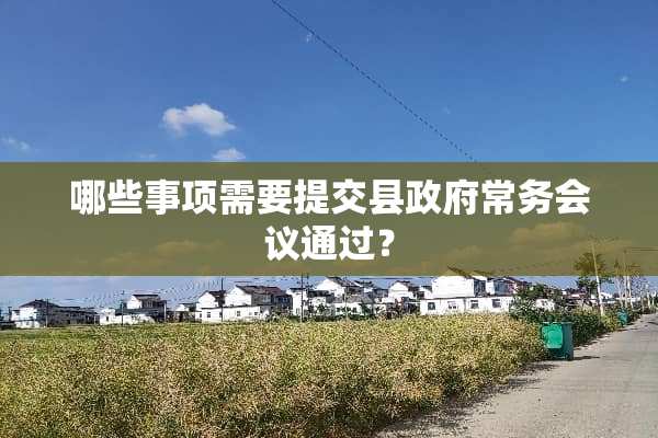 哪些事项需要提交县**常务会议通过？