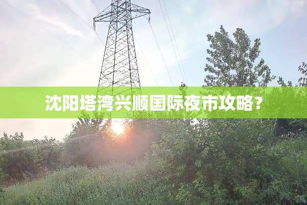 沈阳塔湾兴顺国际夜市攻略？
