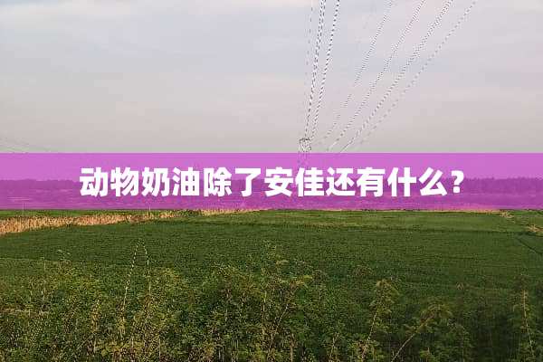 动物奶油除了安佳还有什么？