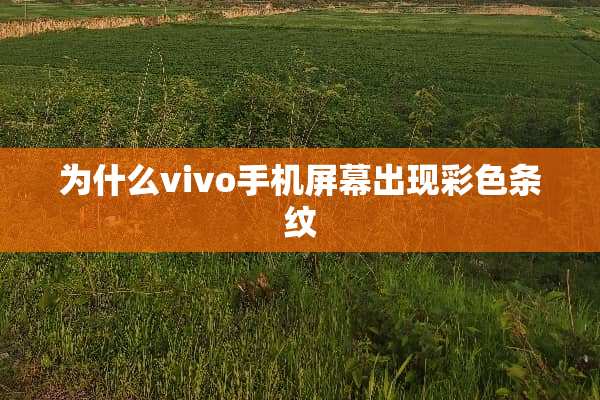 为什么vivo手机屏幕出现彩色条纹