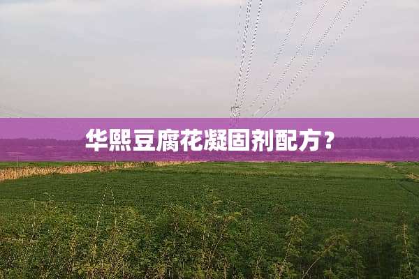 华熙豆腐花凝固剂配方？