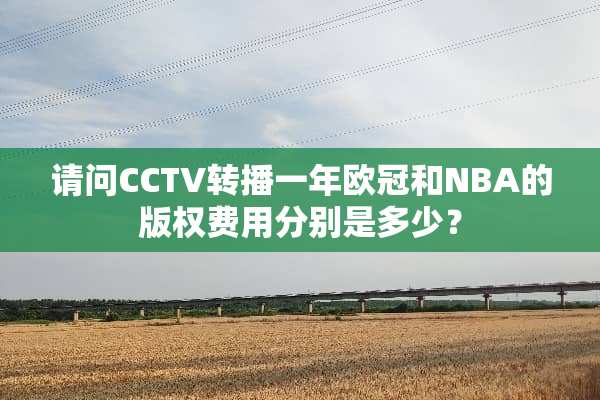 请问CCTV转播一年欧冠和NBA的版权费用分别是多少？