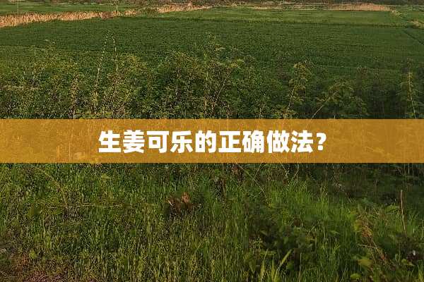 生姜可乐的正确做法？