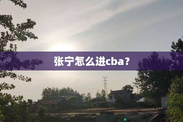 张宁怎么进cba？