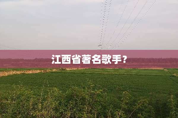 江西省著名歌手？