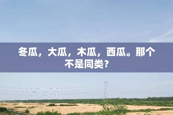 冬瓜，大瓜，木瓜，西瓜。那个不是同类？