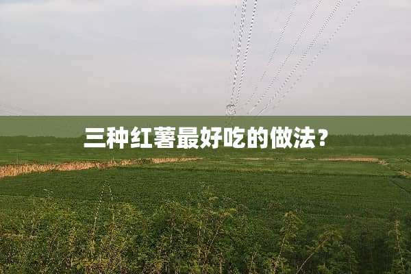 三种红薯最好吃的做法？