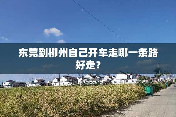 东莞到柳州自己开车走哪一条路好走？