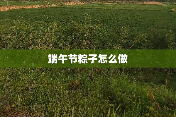 端午节粽子怎么做