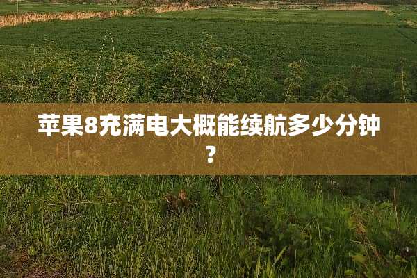 苹果8充满电大概能续航多少分钟？