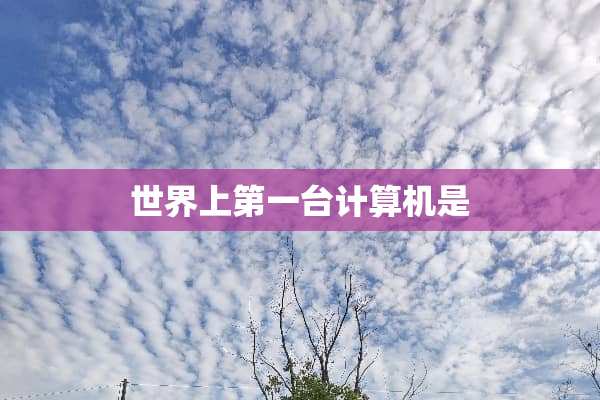 世界上第一台计算机是