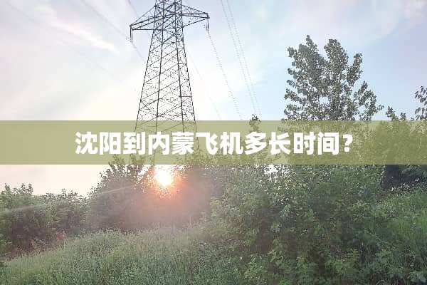 沈阳到内蒙飞机多长时间？
