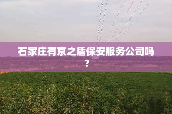 石家庄有京之盾保安服务公司吗？