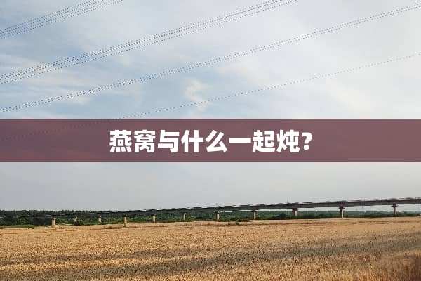 燕窝与什么一起炖？