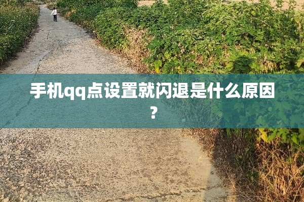 手机qq点设置就闪退是什么原因？