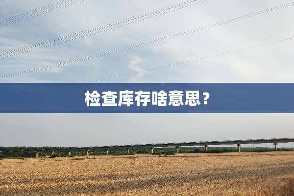 检查库存啥意思？