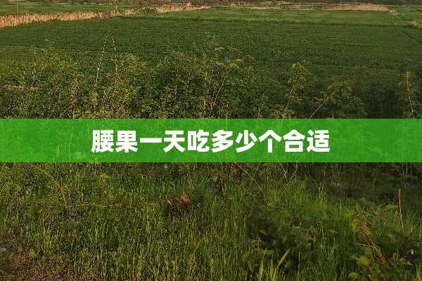 腰果一天吃多少个合适