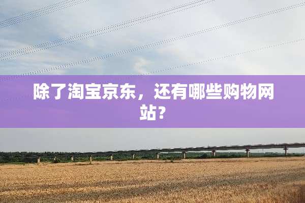 除了淘宝京东，还有哪些购物网站？