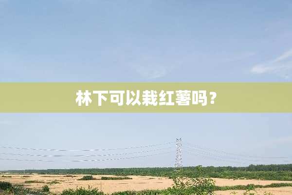 林下可以栽红薯吗？