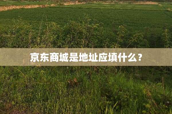 京东商城是地址应填什么？