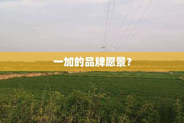 一加的品牌愿景？